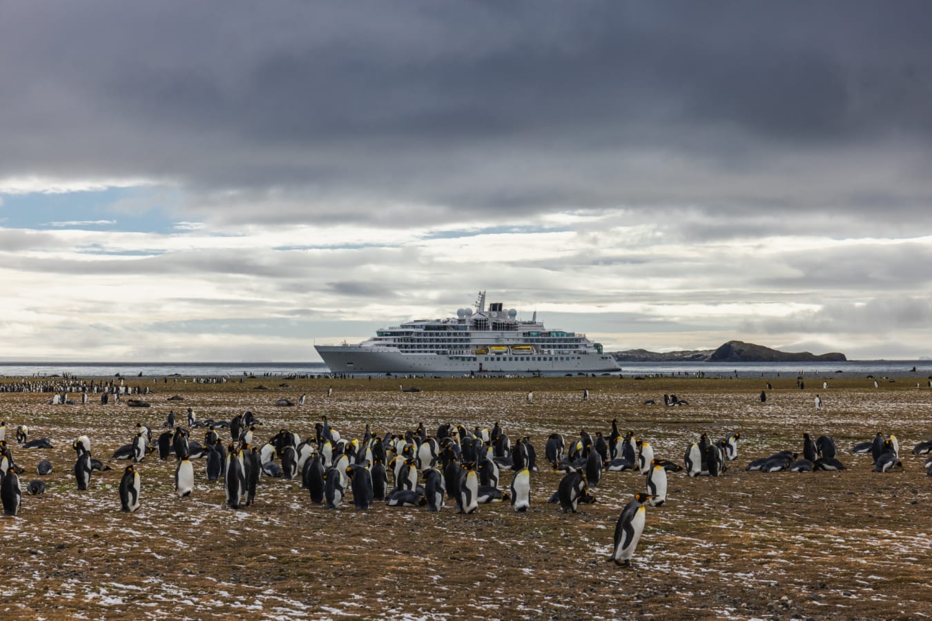 Exterior with penguins