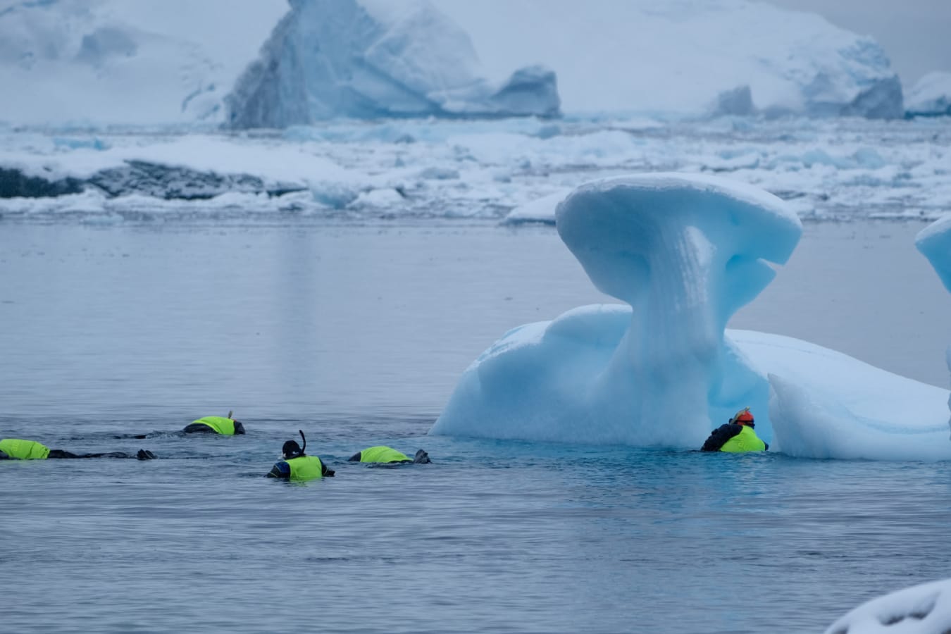 Snorkelling at Portal Point 