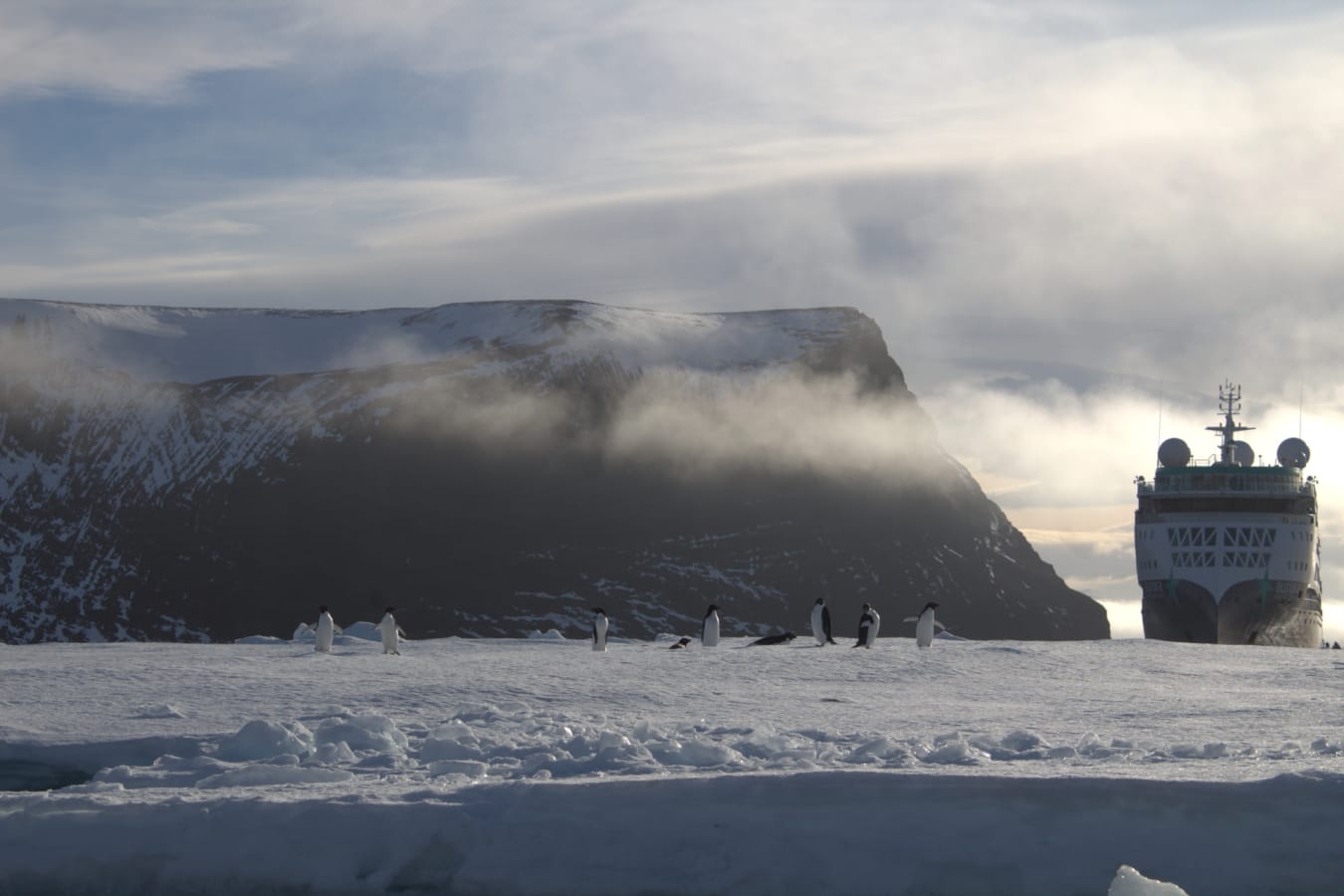 Penguins and Sylvia Earle 