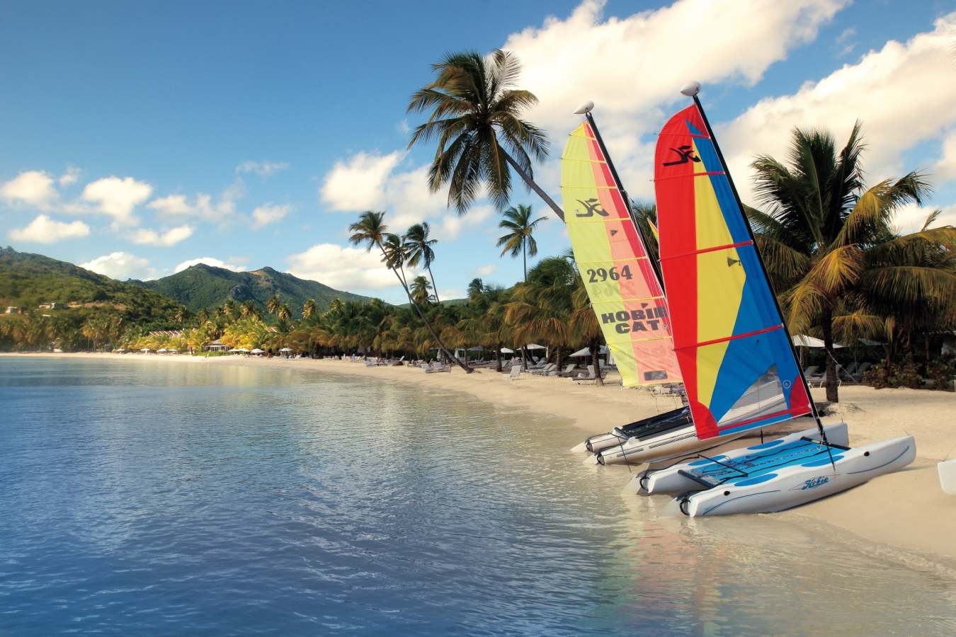 Hobie Cats on the Beach - Carlisle Bay