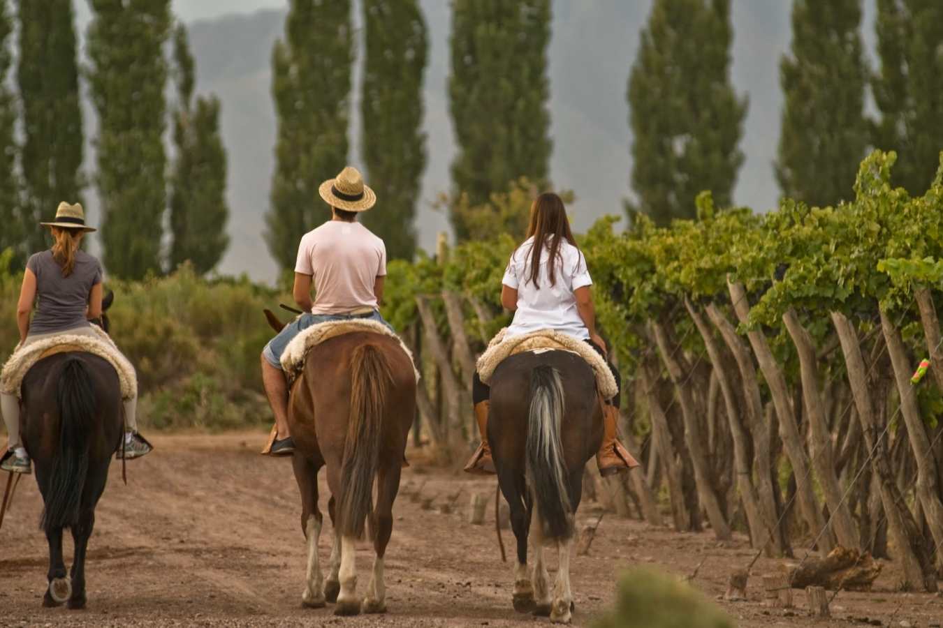 Riding through the vineyards - Cavas Wine Lodge