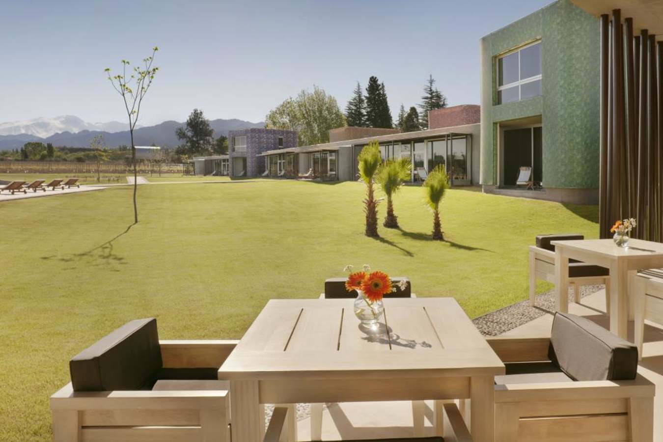 View of pool and Andes - Entre Cielos