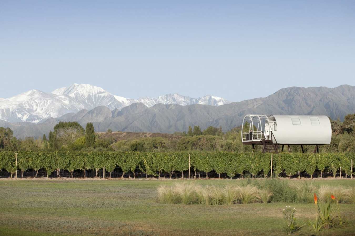 Lmited Edition Vineyard Loft Panorama  - Entre Cielos