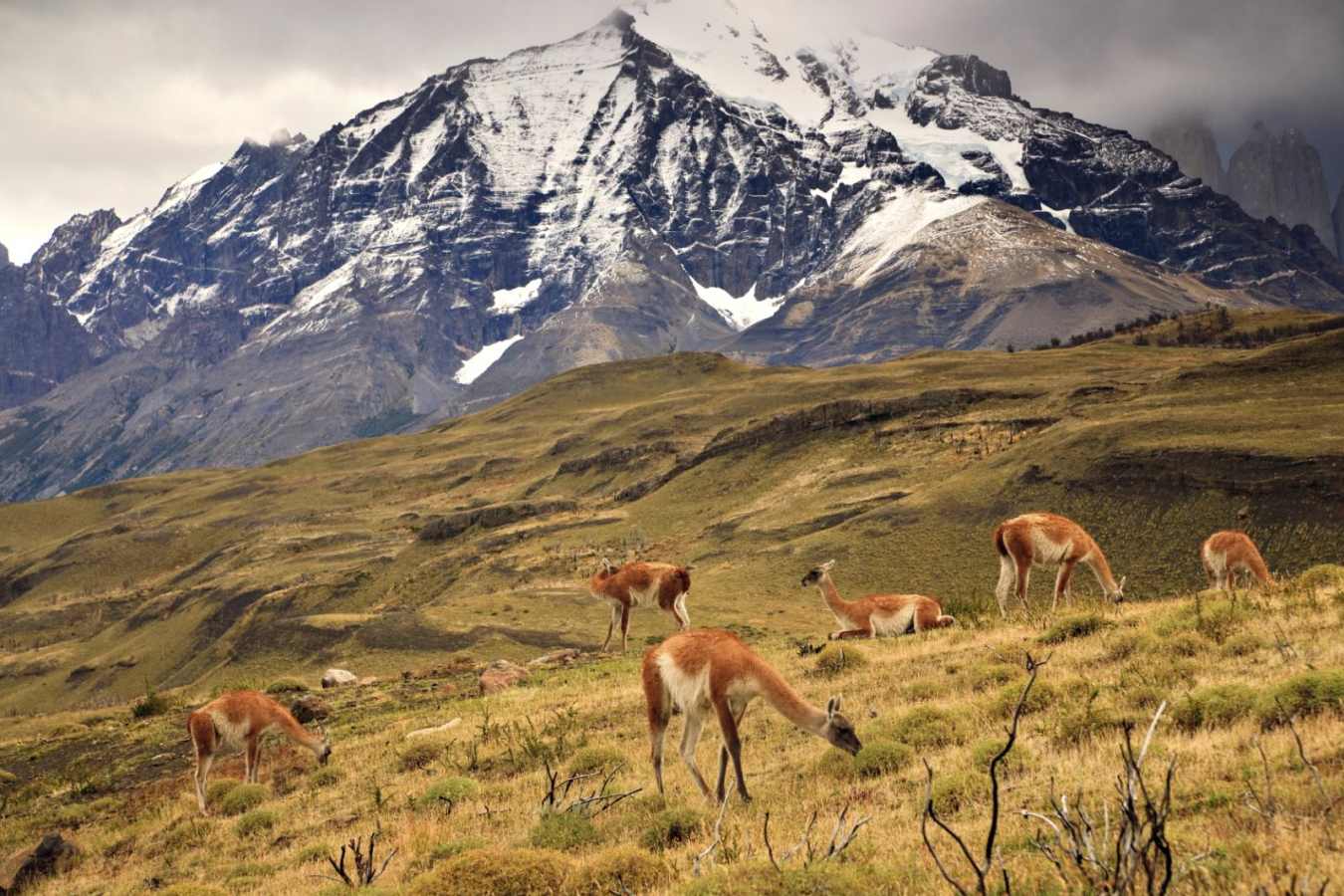 Southern Patagonian landscapes   