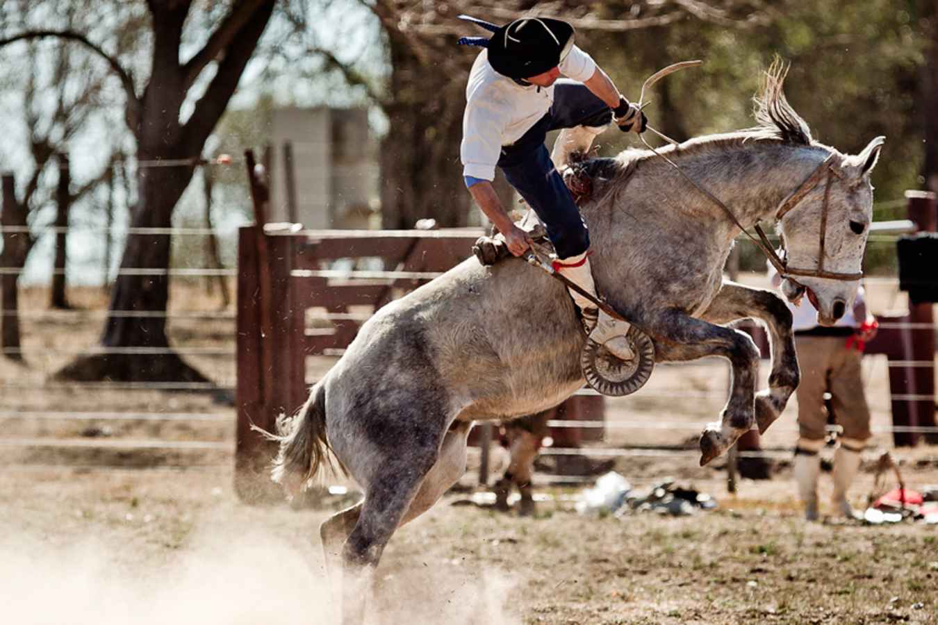 Gauchos at work - Estancia El Colibri