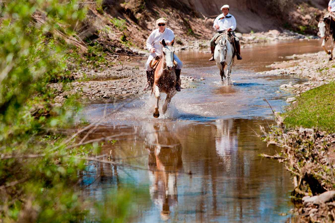 Horse riding - Estancia El Colibri