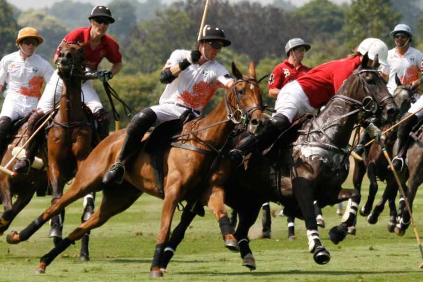 Polo - Estancia La Bamba