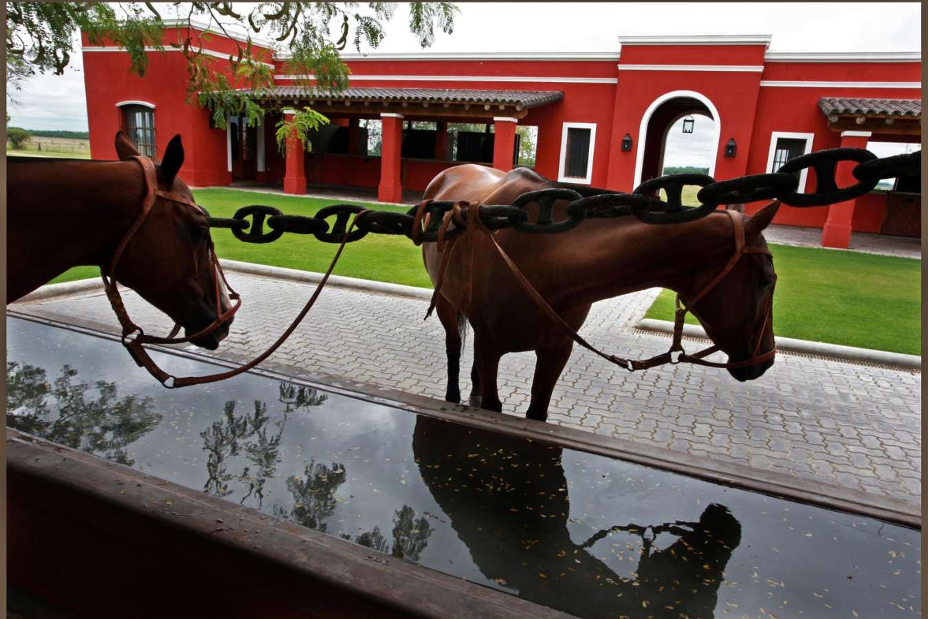Horses at the water trough - Estancia La Bamba