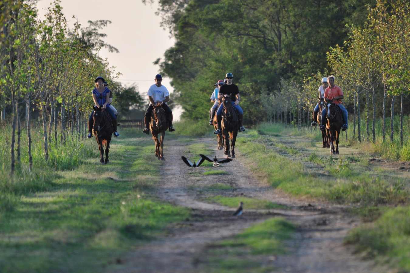 Estancia La Sofia Riding