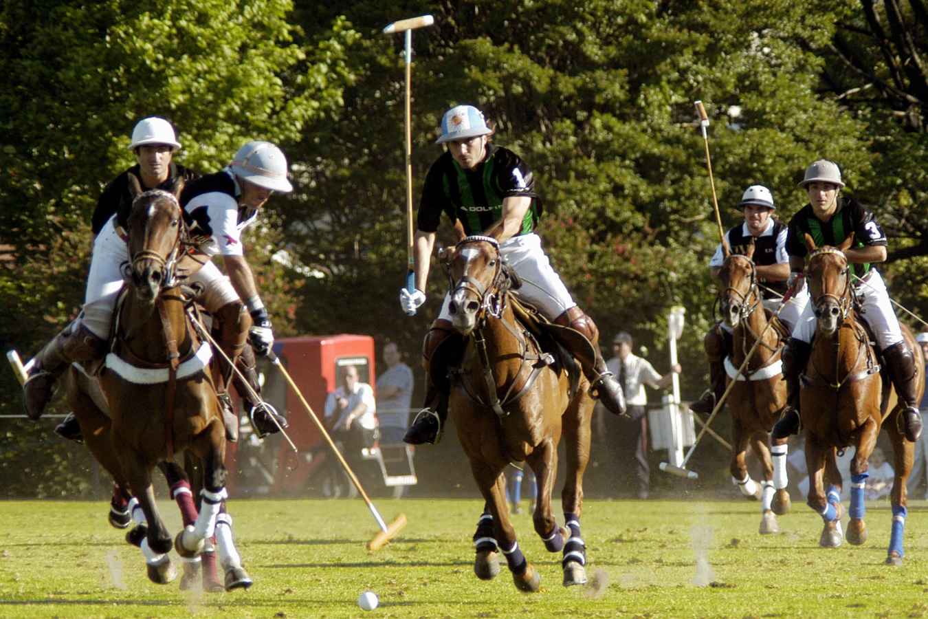 Polo match