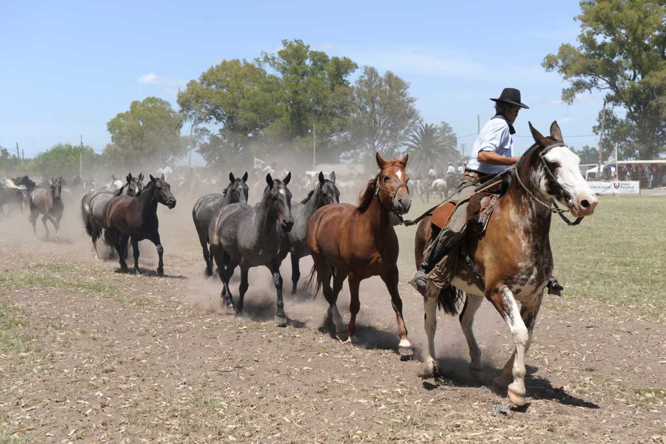 Gaucho lifestyle