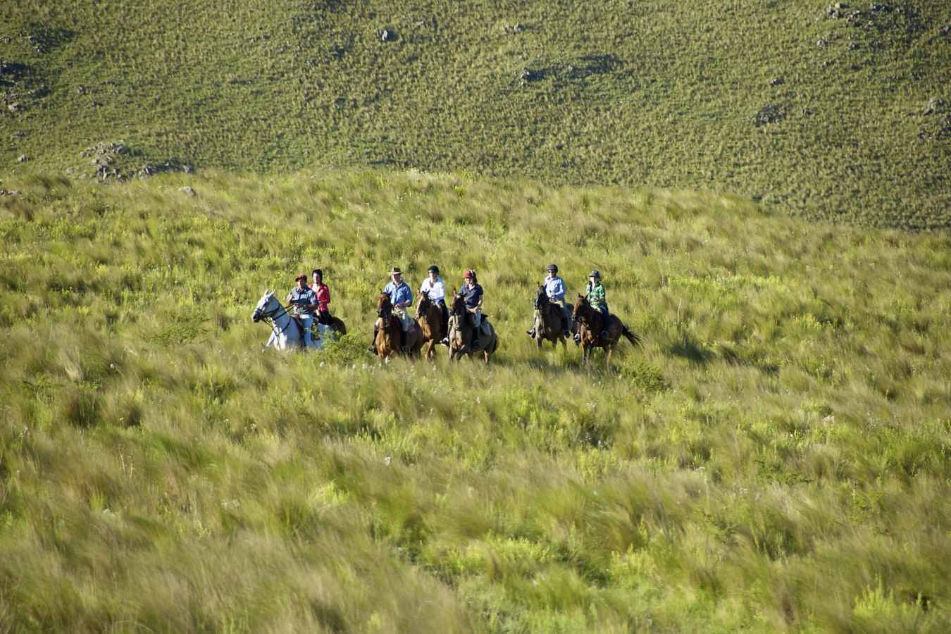 Riding - Estancia Los Potreros