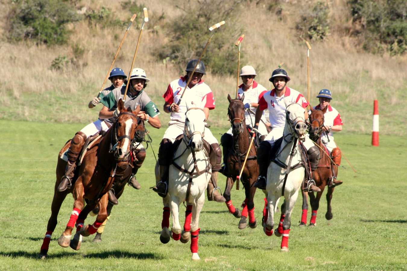 Polo - Estancia Los Potreros