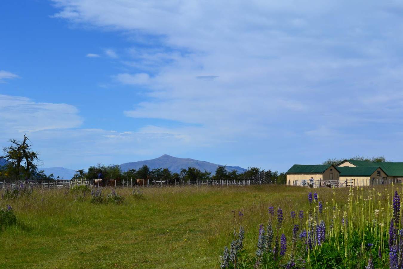 Scenic view - Estancia Nibepo Aike