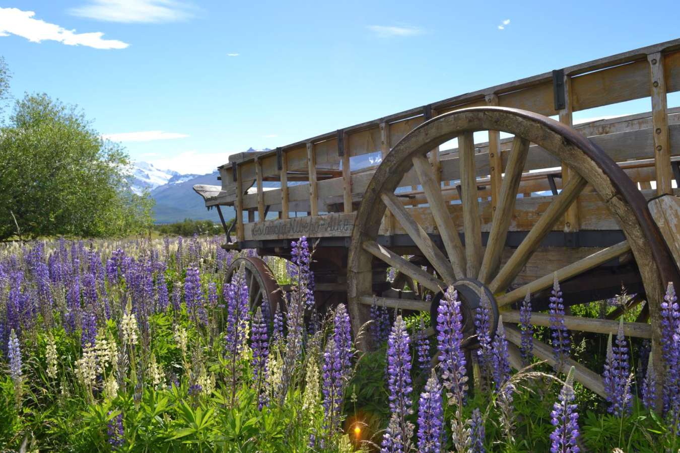 Beautiful scenery - Estancia Nibepo Aike