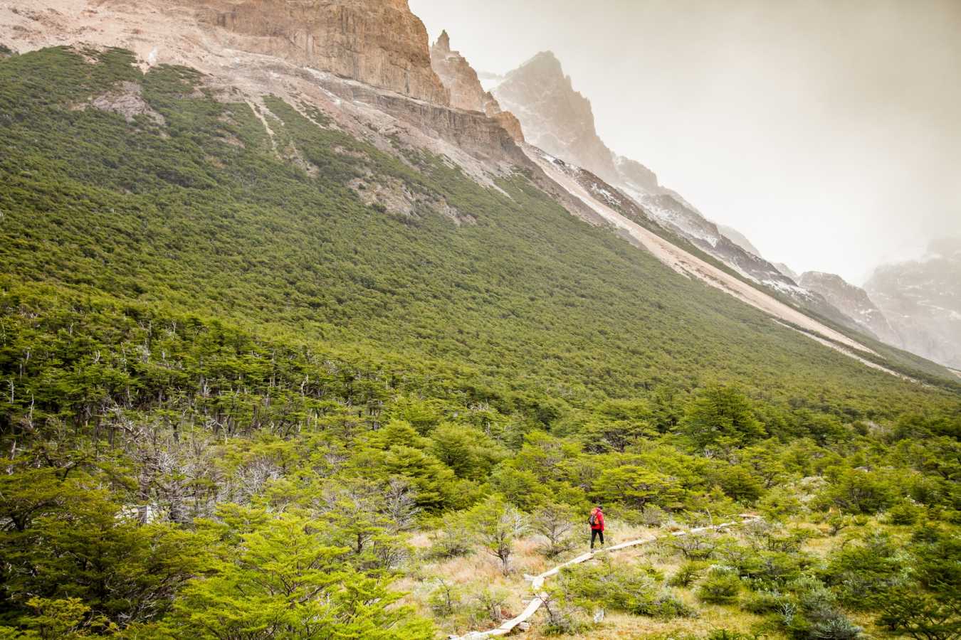 Hiking in Los Huemeles Reserve