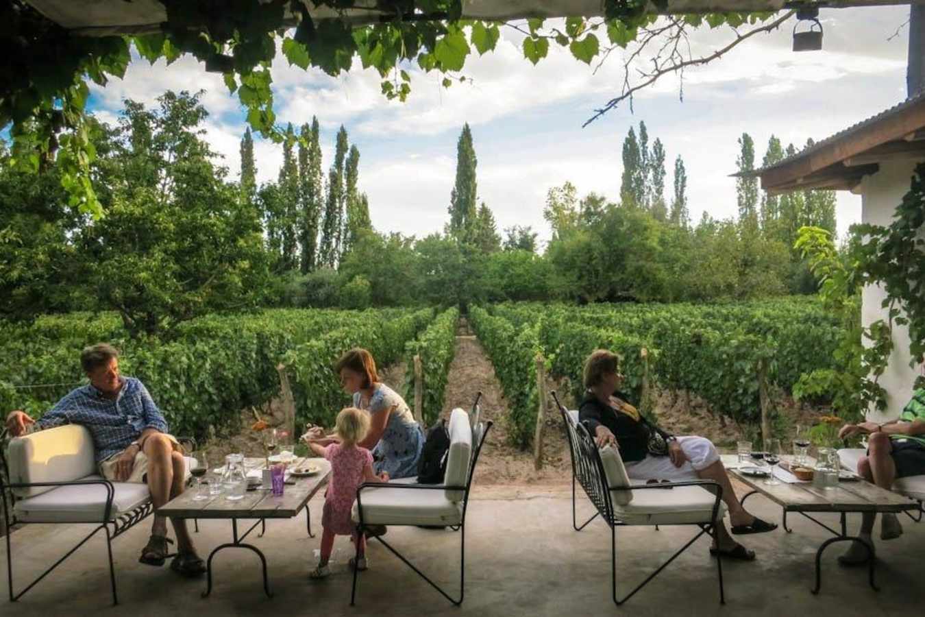 Terrace - Finca Adalgisa