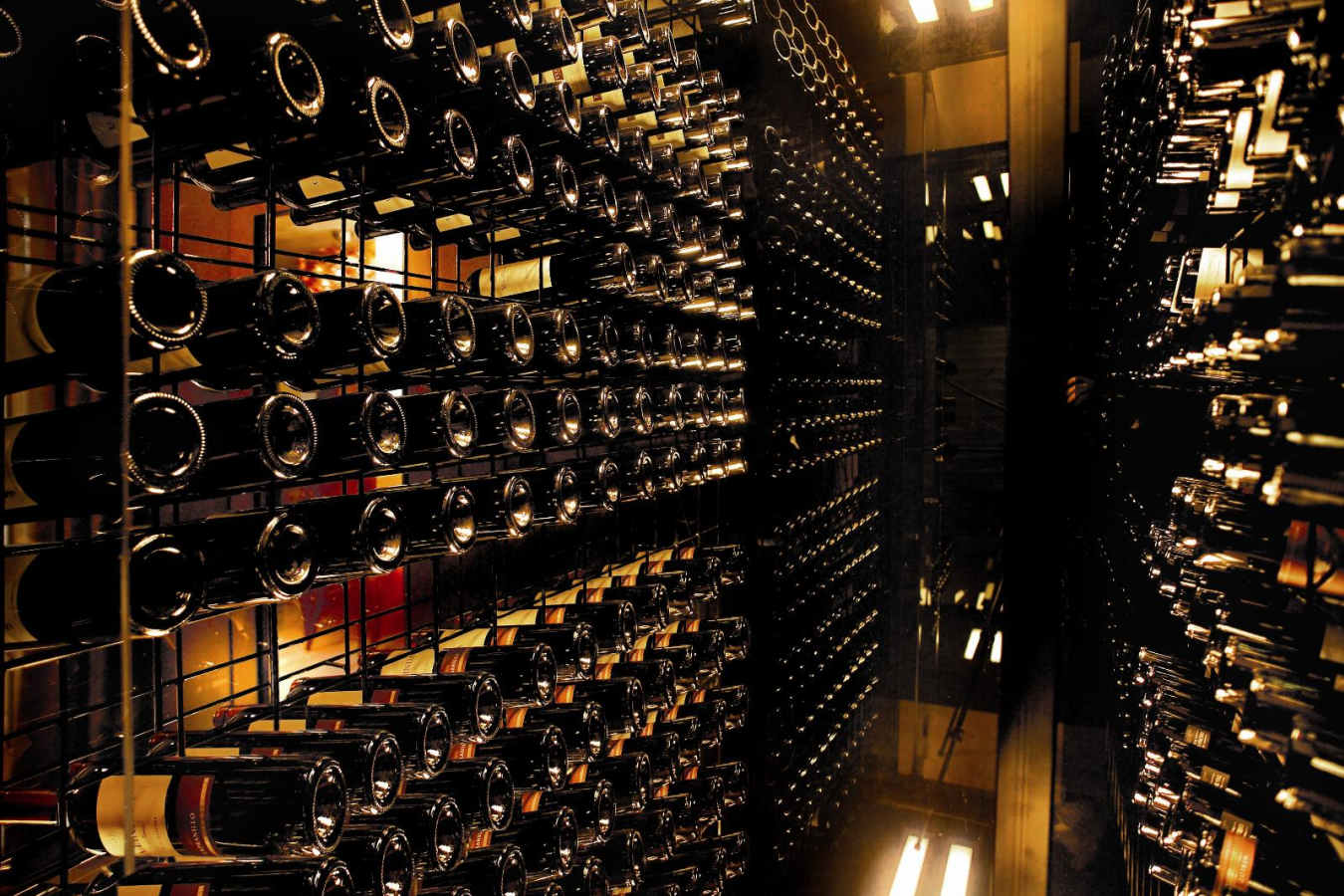 Wine Cellar - Palacio Duhau