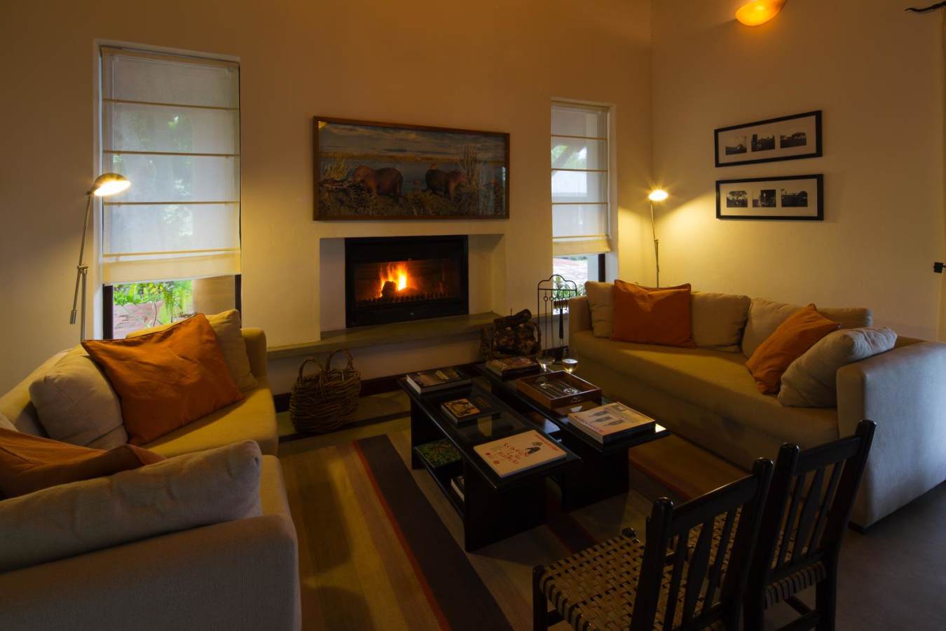 Library - Puerto Valle