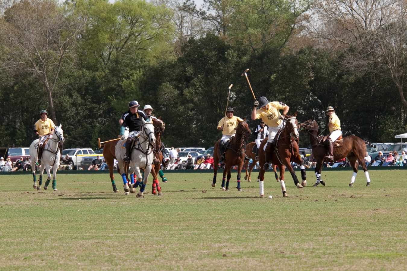 Polo
