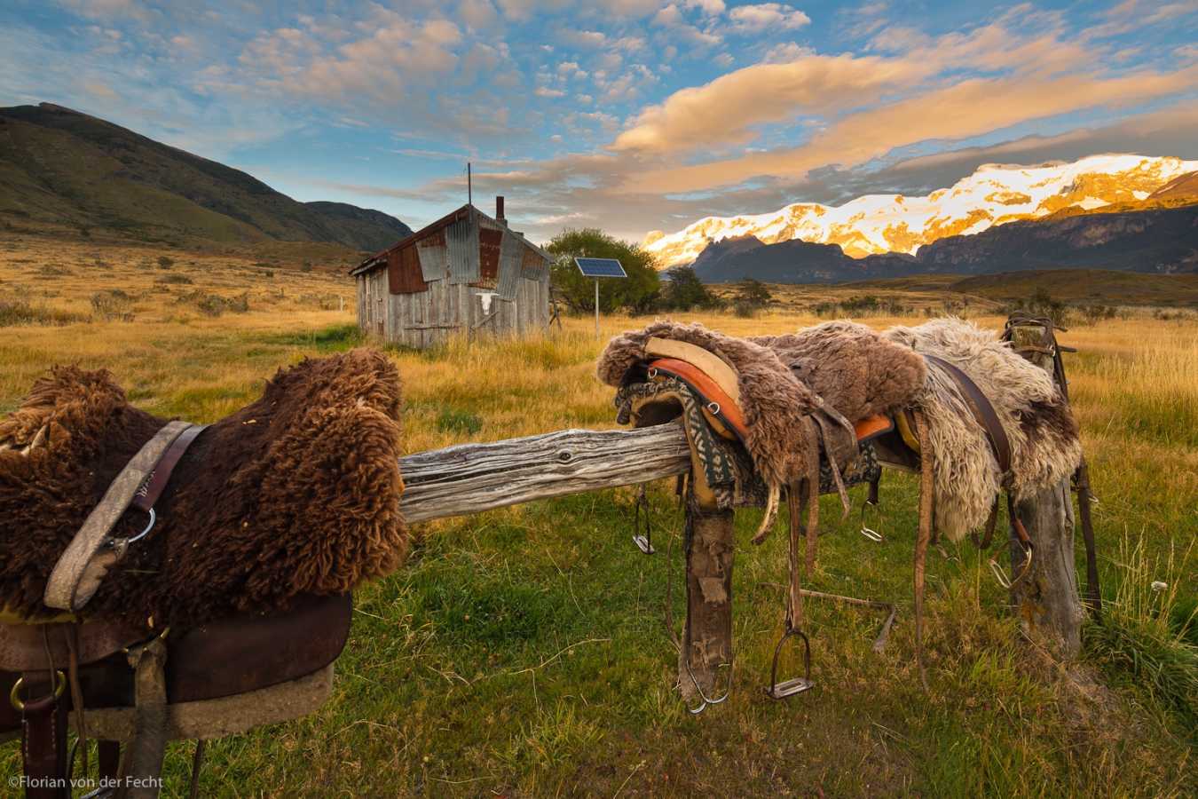 Saddles