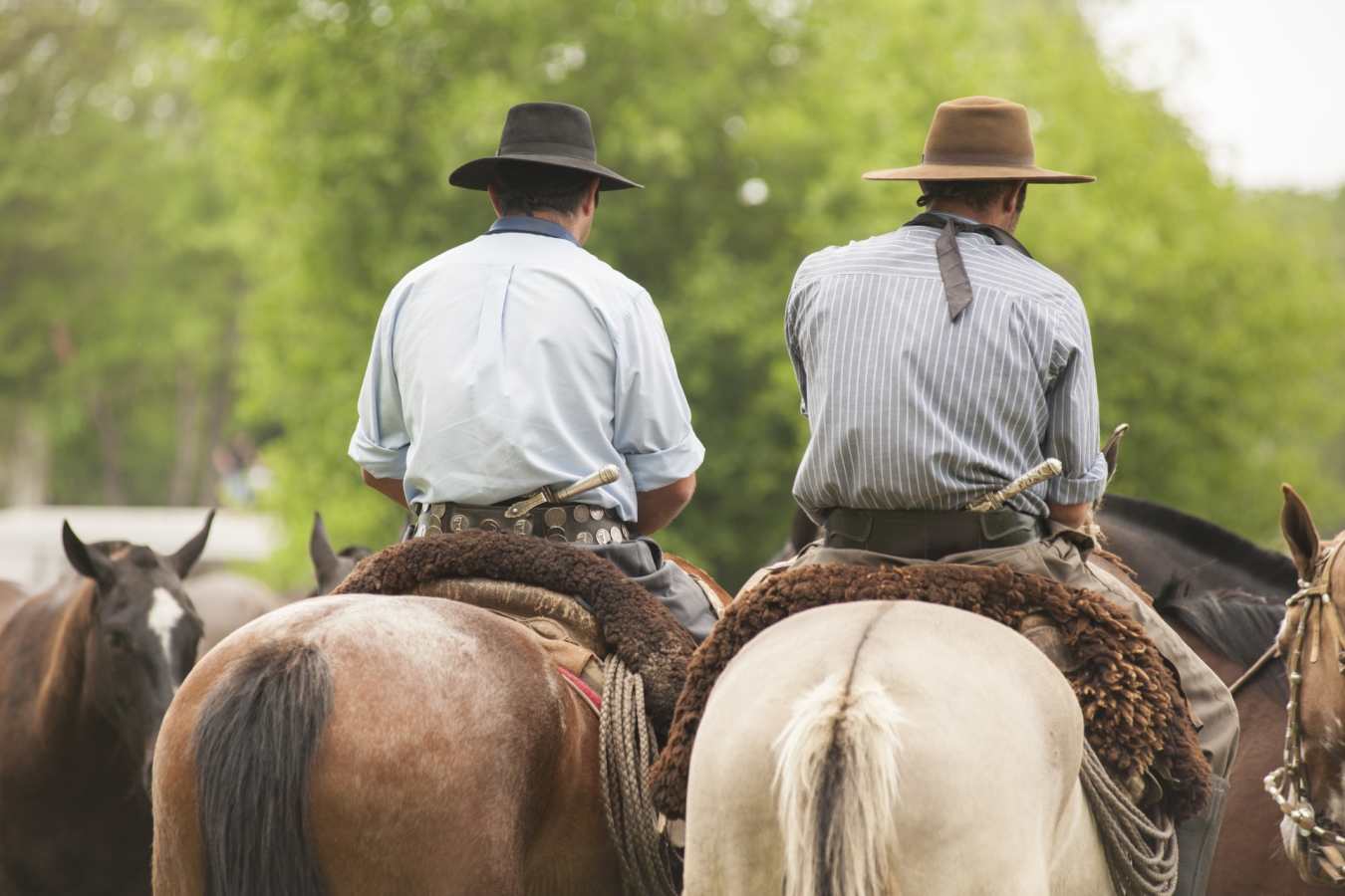 Gauchos