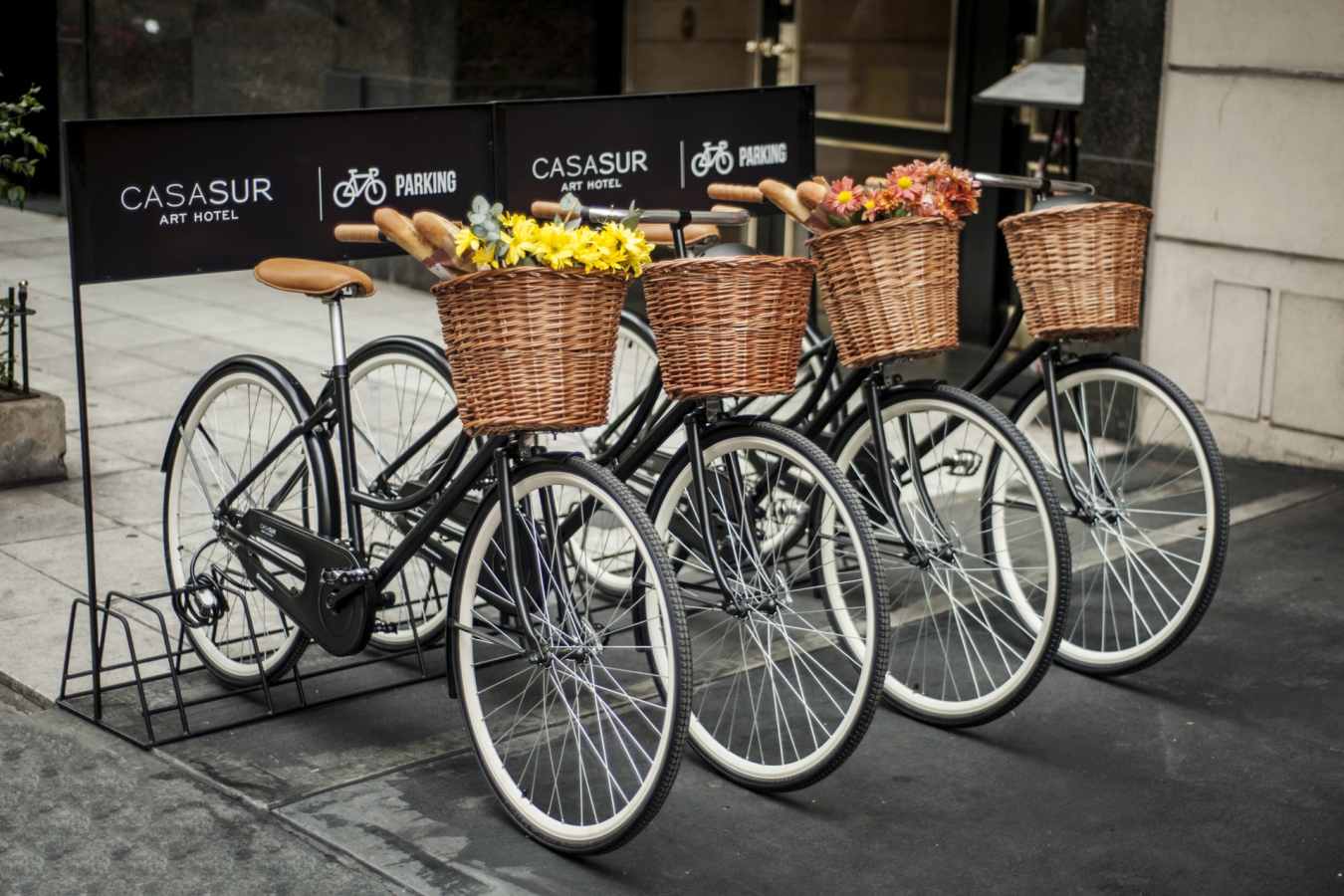 Buenos Aires by bike