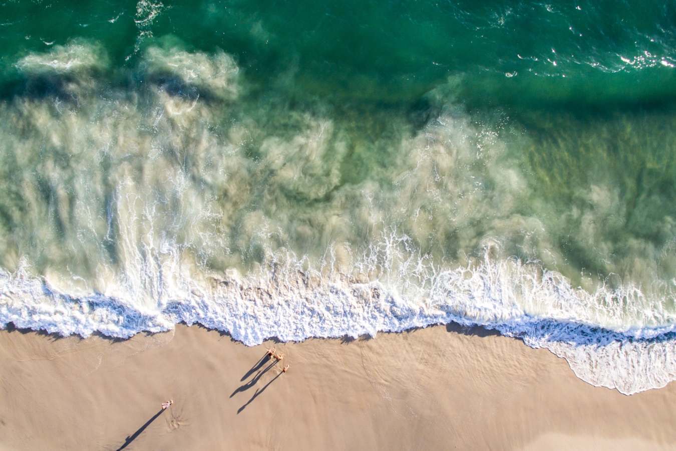 Surf and beach - Brazil  