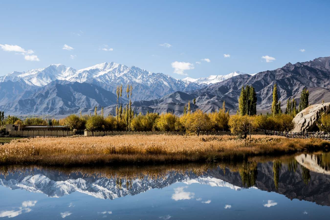 Lake Views - Ladakh