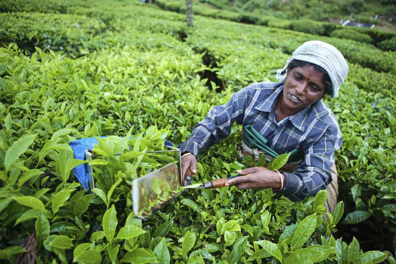 Explore Kerala and Karnataka