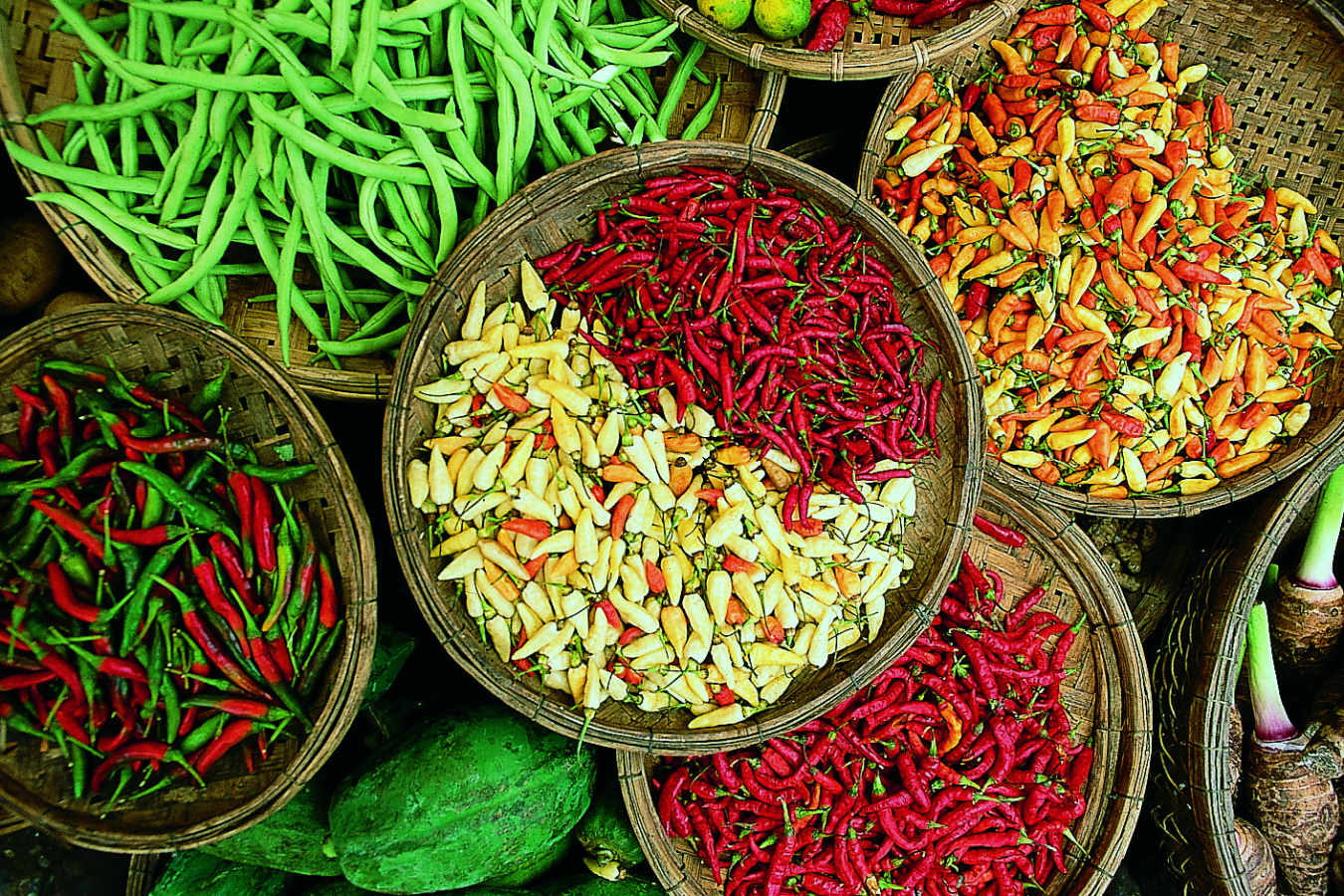 Explore Kerala and Karnataka