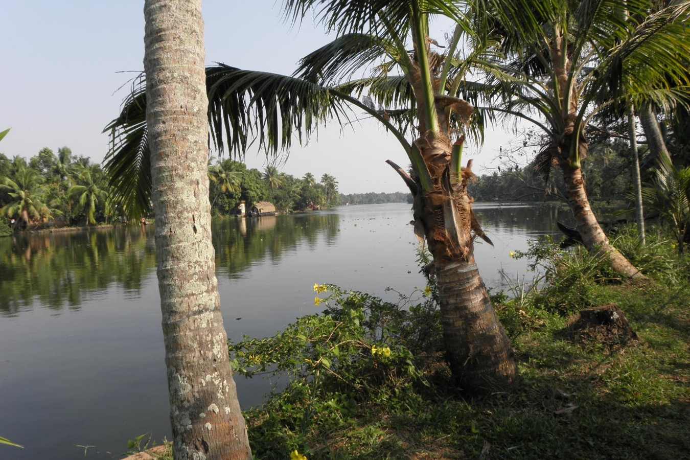 Explore Kerala and Karnataka