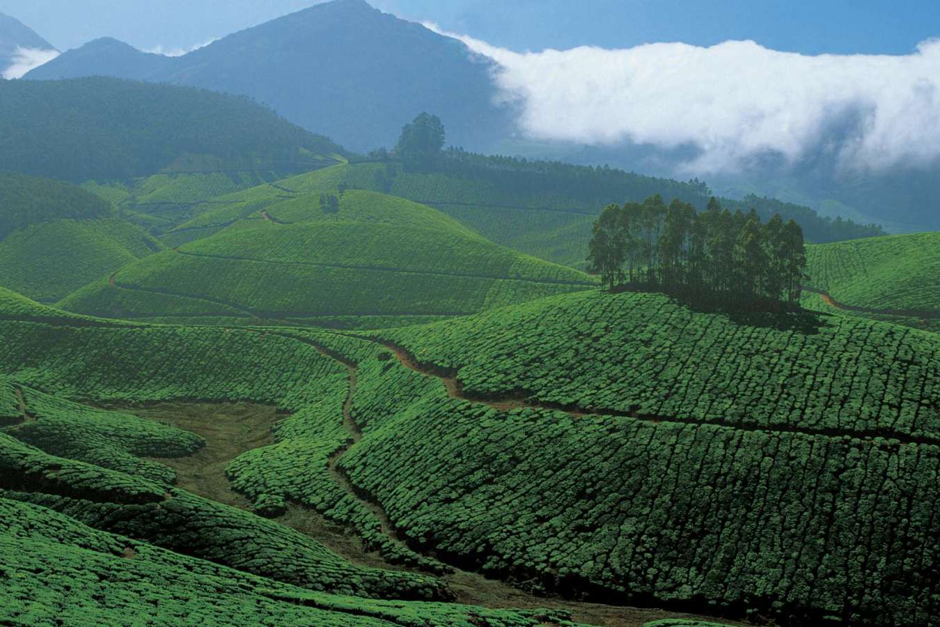 Explore Kerala and Karnataka