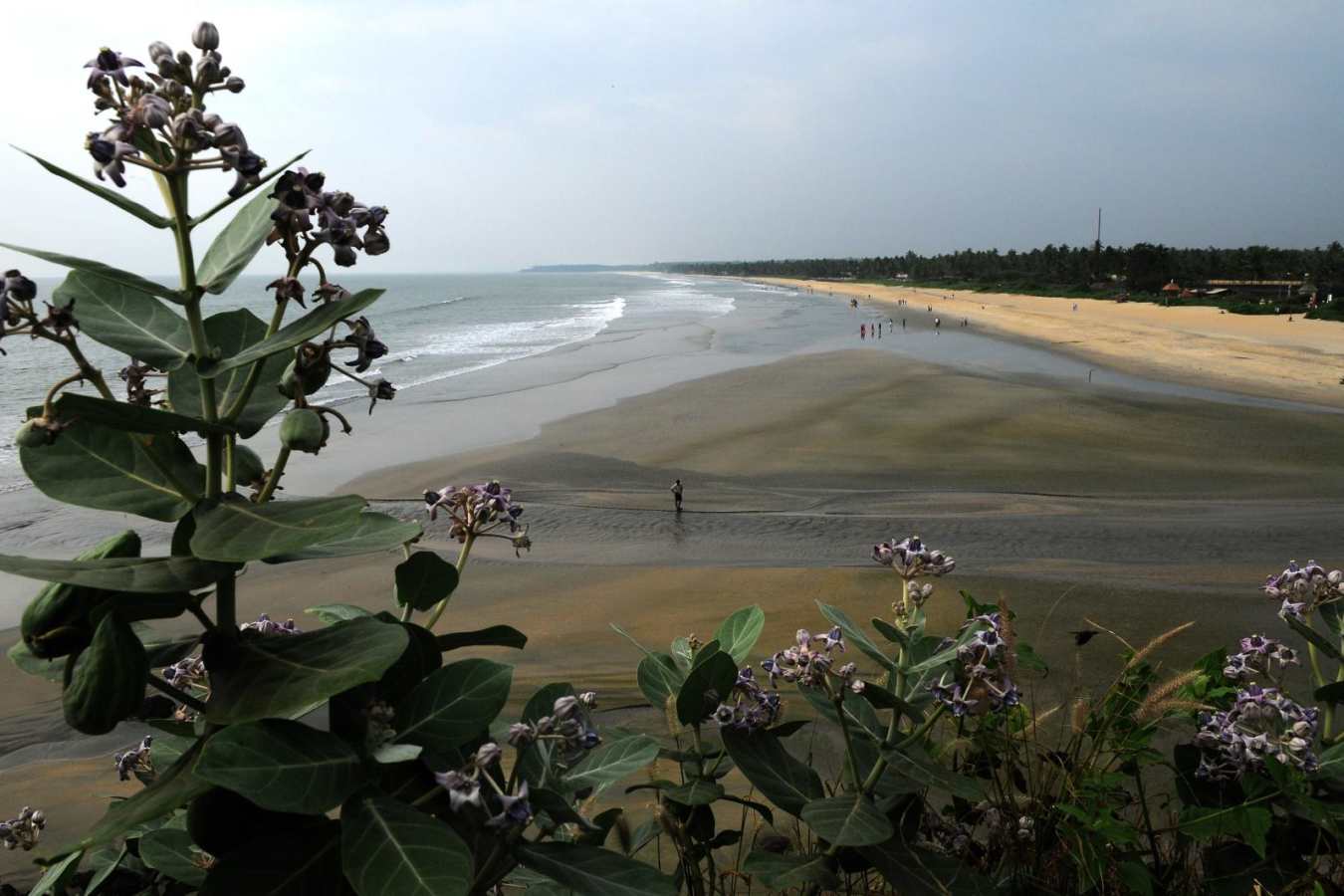 Explore Kerala and Karnataka
