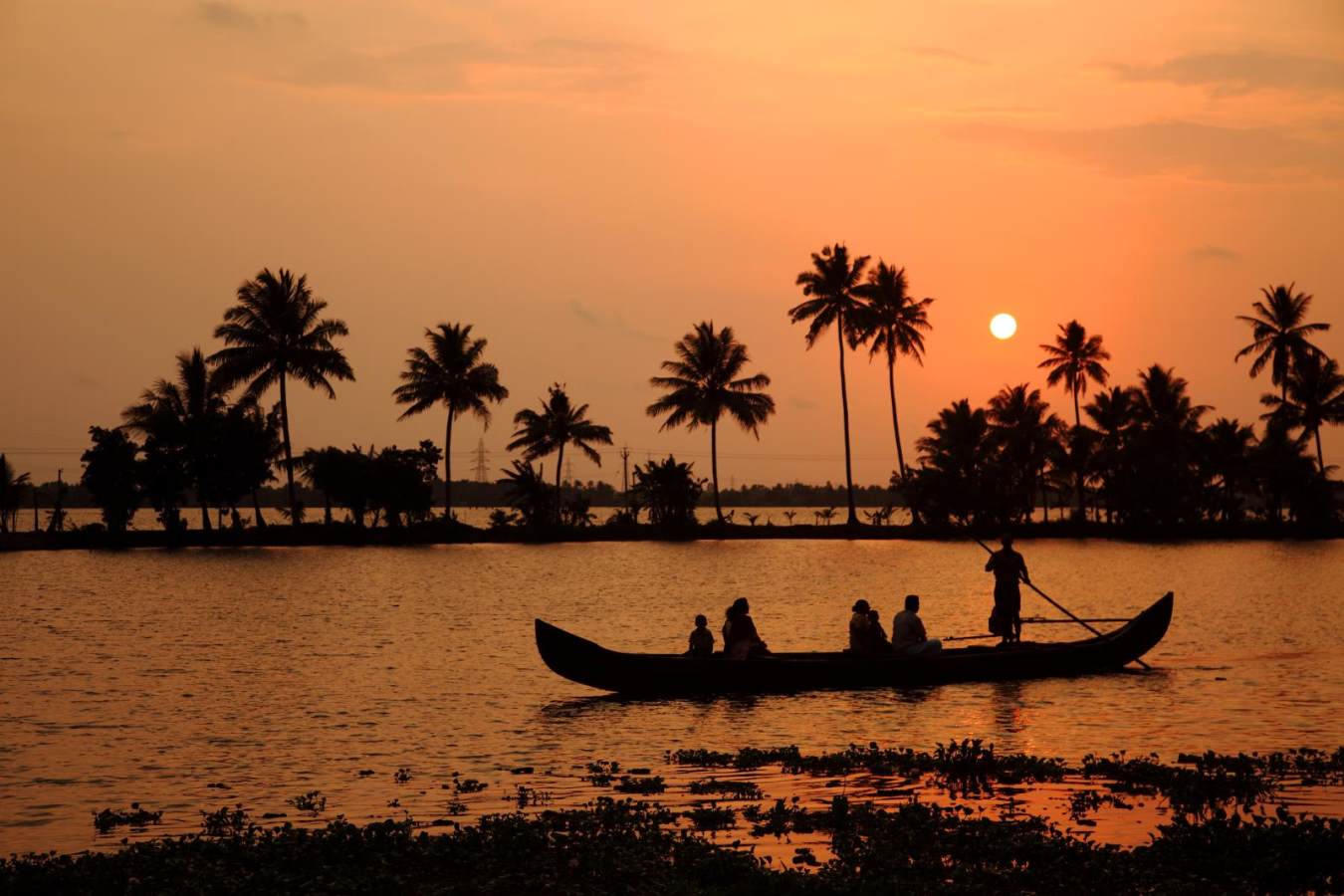 Backwaters - Kerala