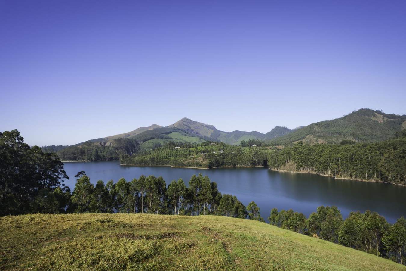 Periyar - Kerala