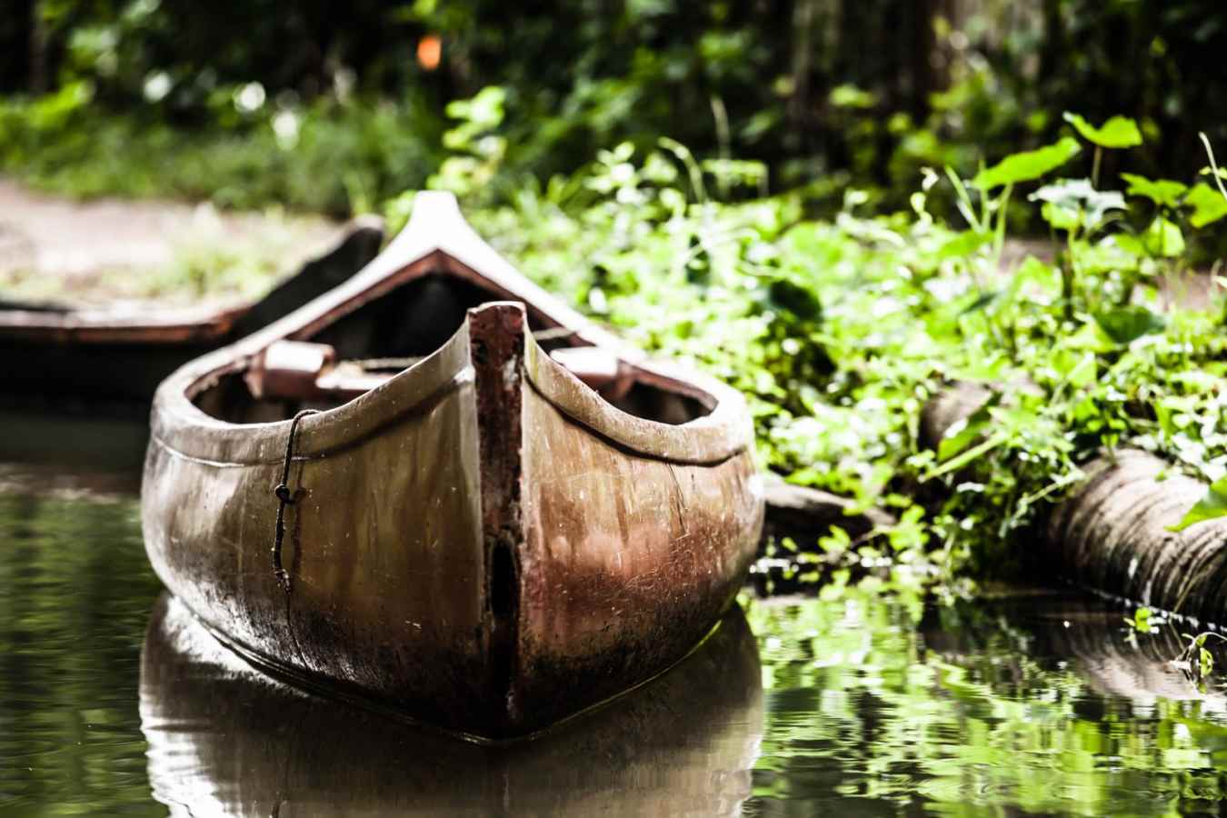 Backwaters - Kerala