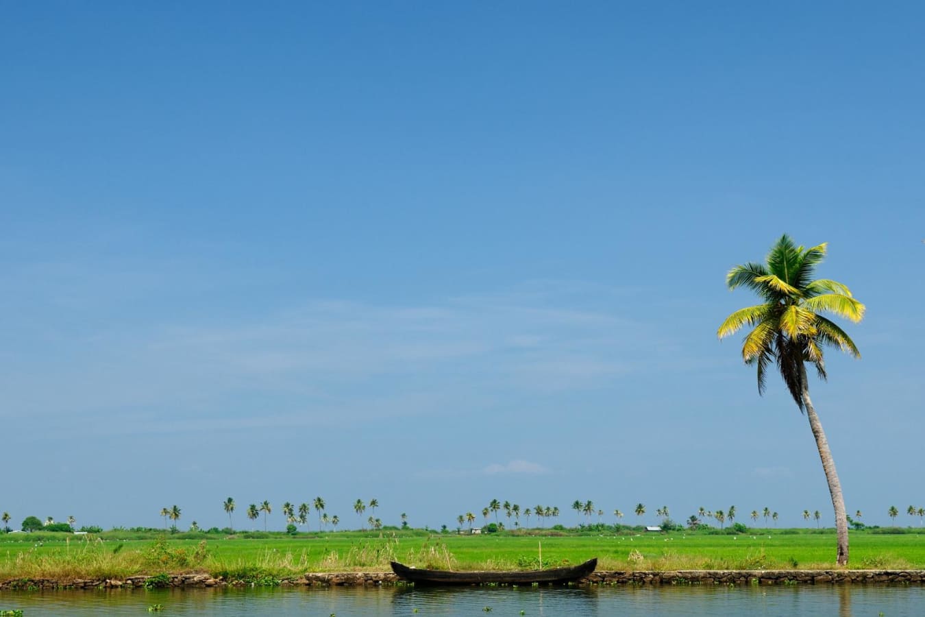 Backwaters - Kerala