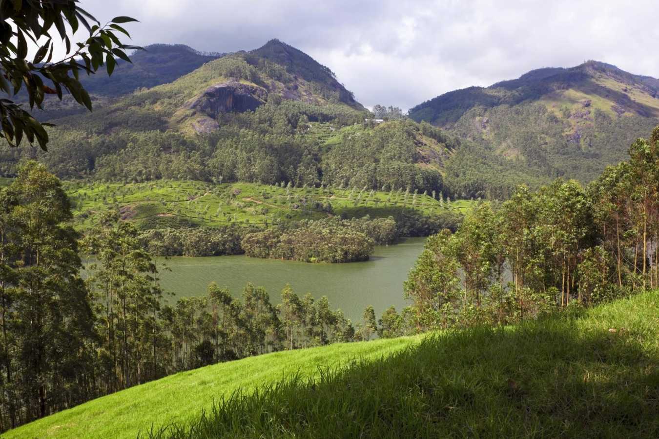 Periyar - Kerala