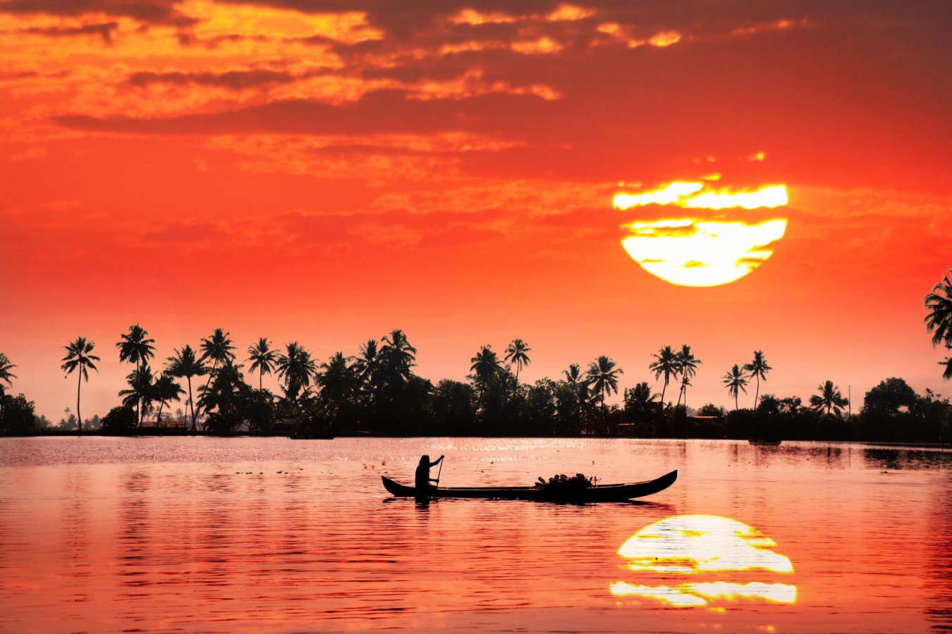 Backwaters - Kerala