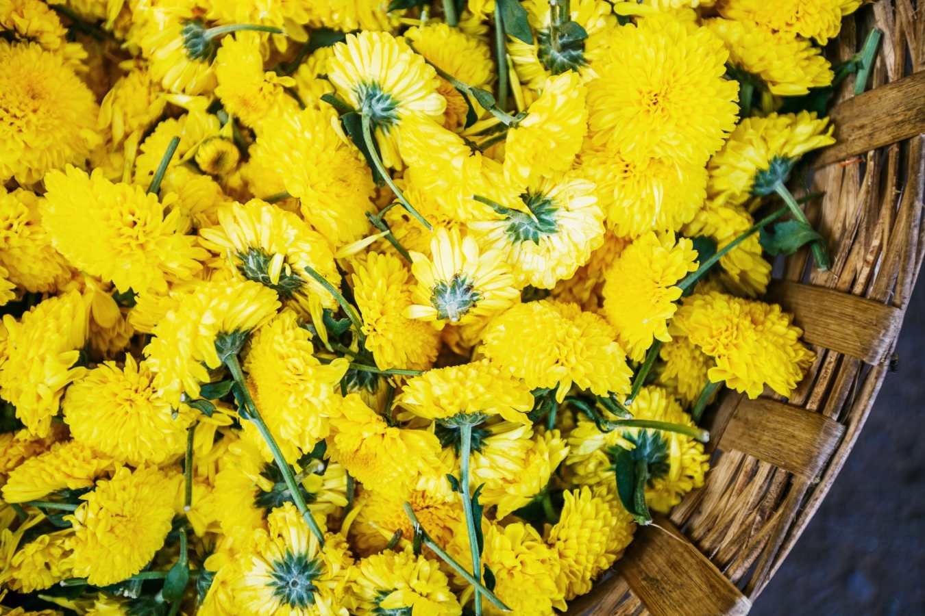 Colourful India - Tamil Nadu