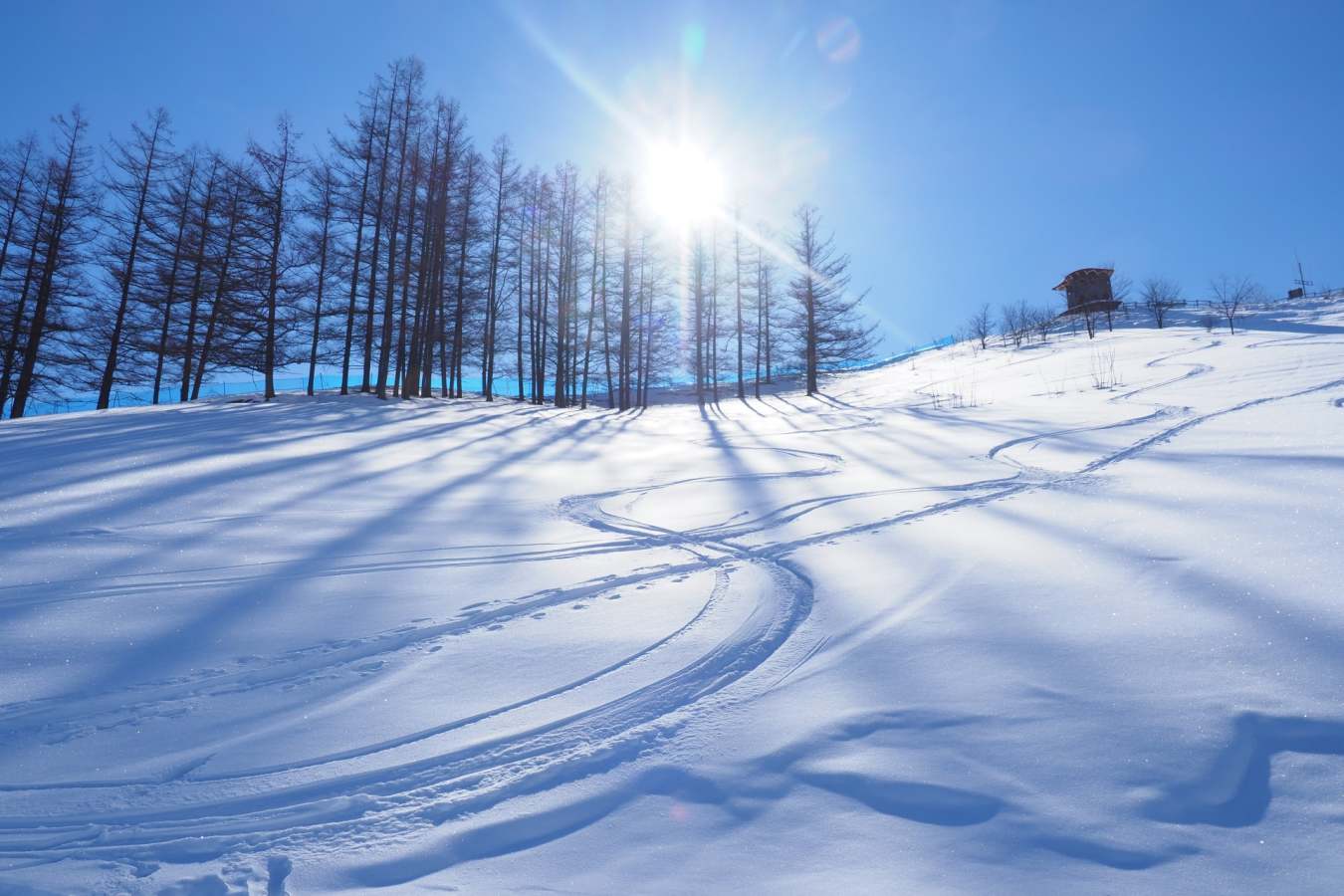 Ski - Hokkaido