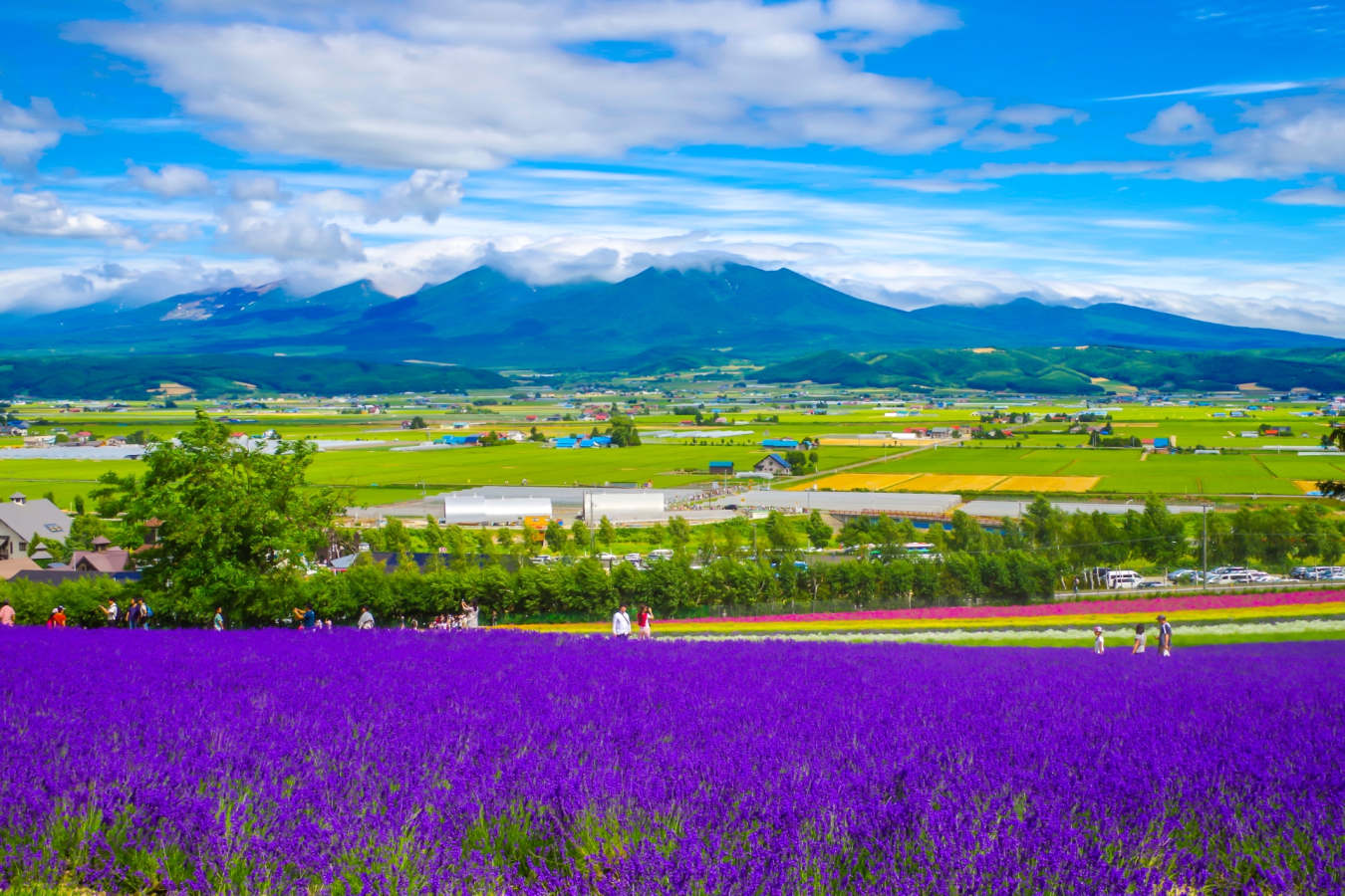 Furano - Hokkaido