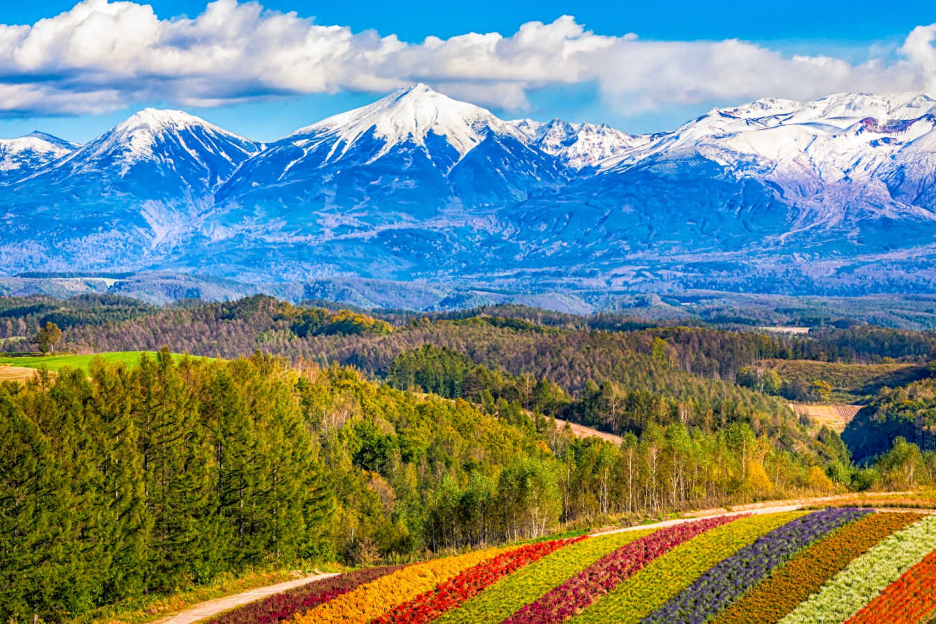 Furano - Hokkaido