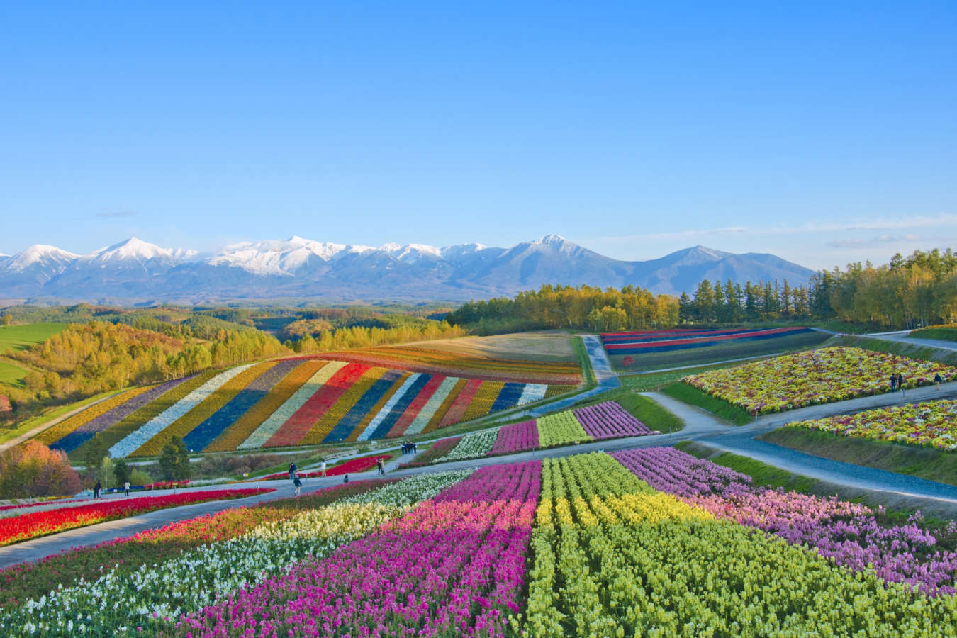 Furano - Hokkaido