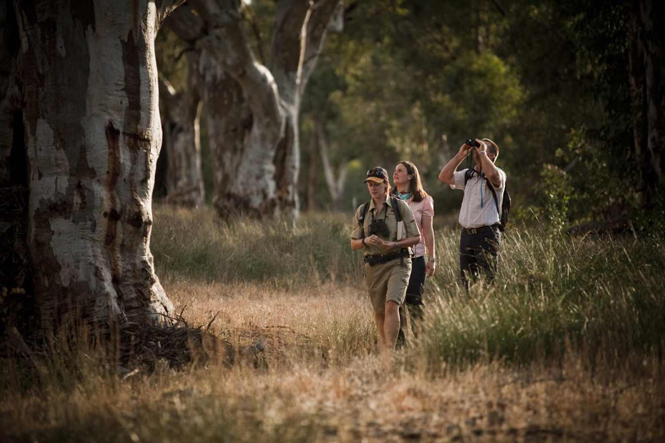 Guided walk - Arkaba