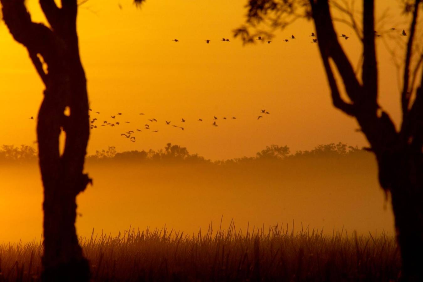 Sunset - Bamurru Plains