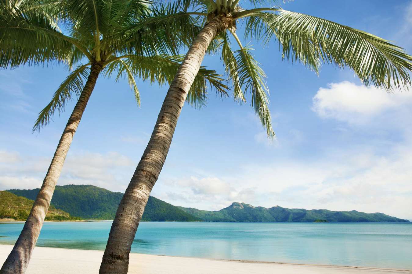 Beach -  Hayman Island