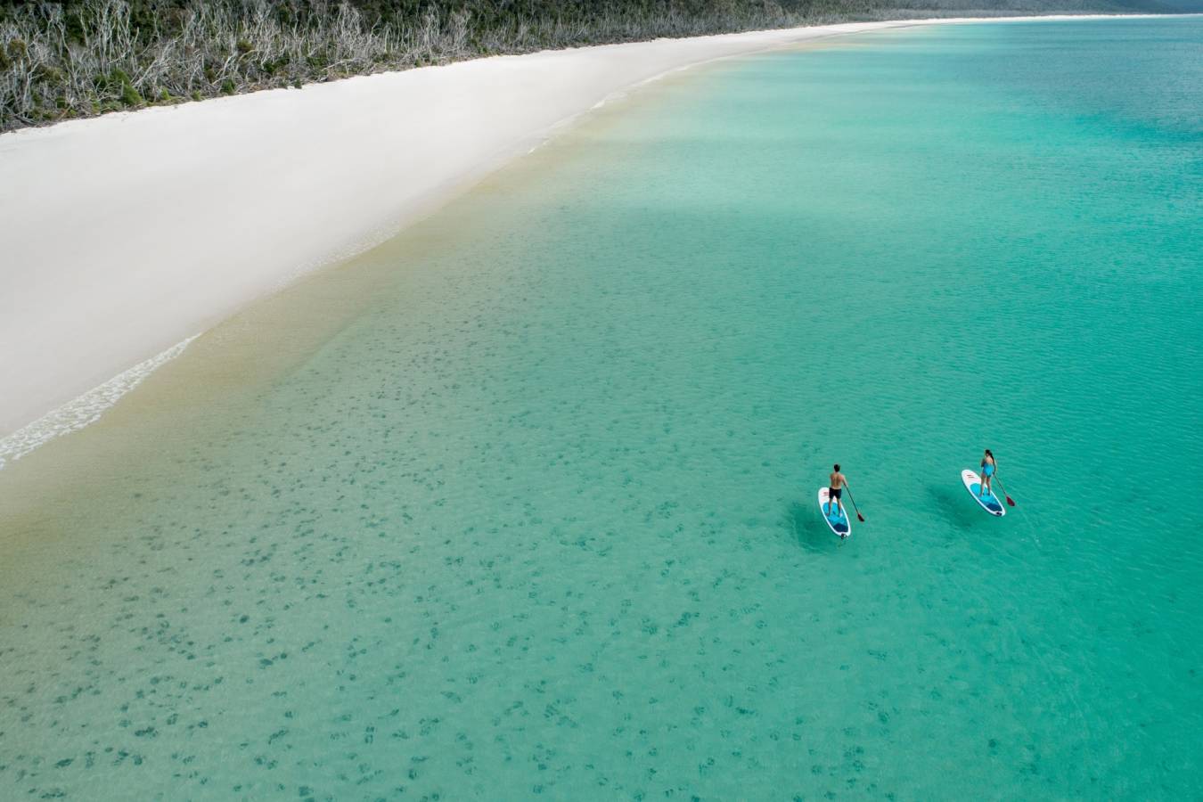 Paddle Boarding