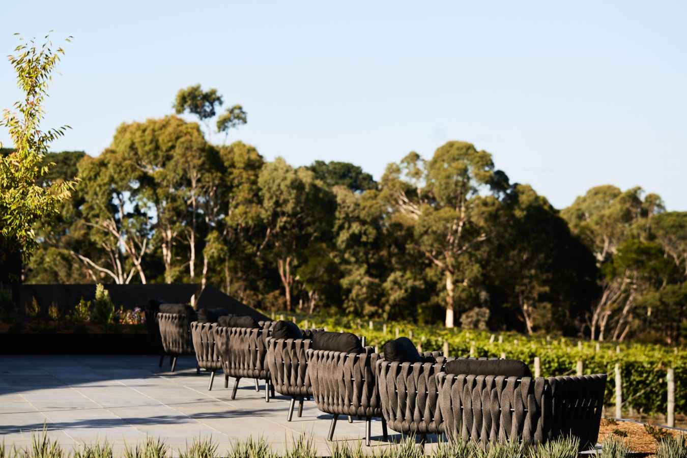 Terrace - Jackalope Hotel